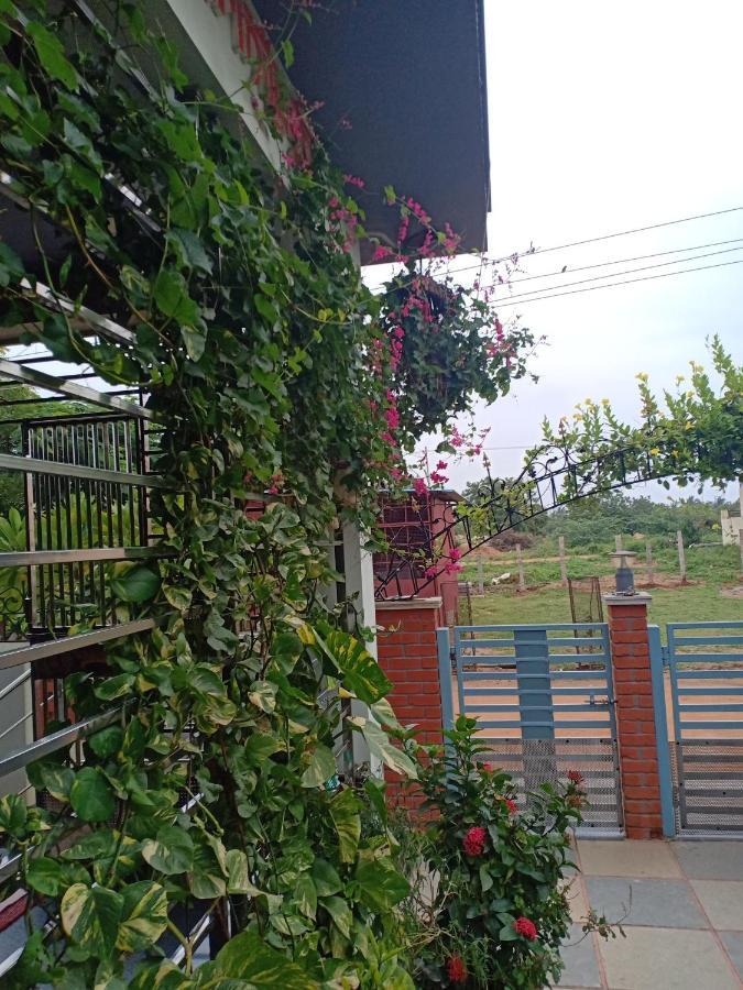 Mango Tree Homestay Hampi Extérieur photo