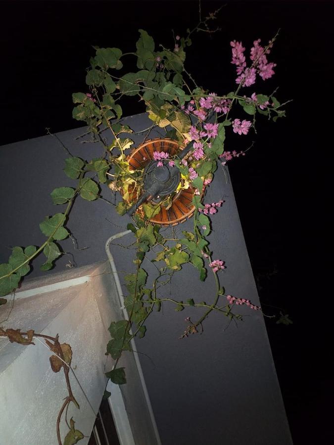 Mango Tree Homestay Hampi Extérieur photo