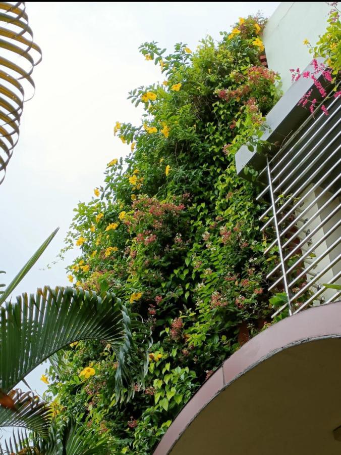 Mango Tree Homestay Hampi Extérieur photo