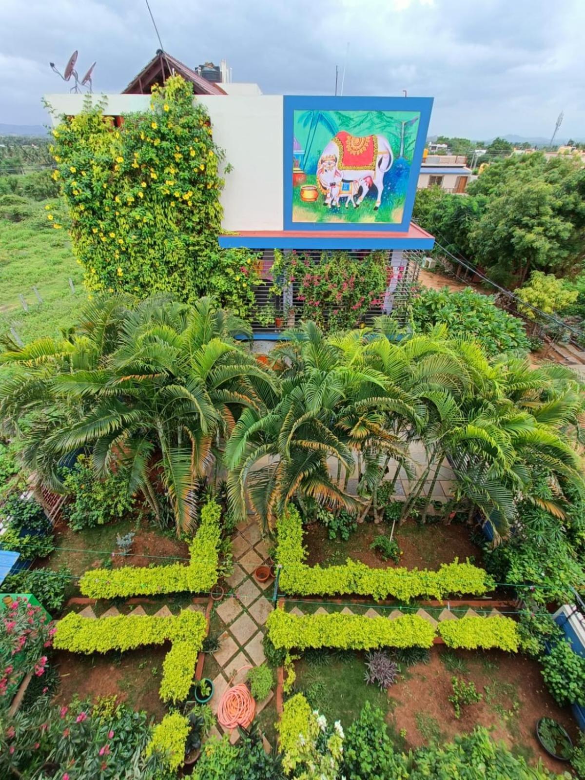 Mango Tree Homestay Hampi Extérieur photo